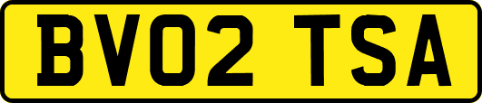 BV02TSA