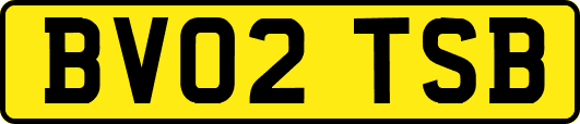BV02TSB