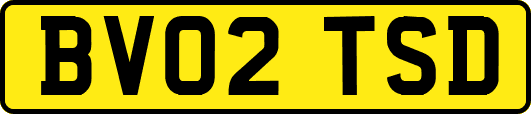 BV02TSD