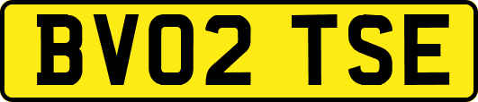 BV02TSE