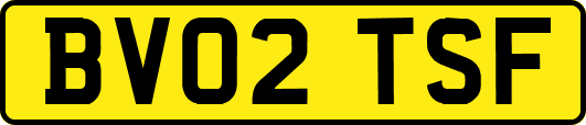 BV02TSF