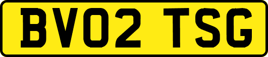 BV02TSG