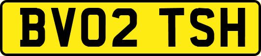 BV02TSH