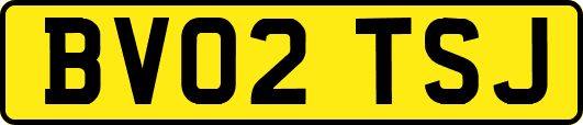 BV02TSJ