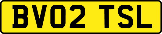 BV02TSL