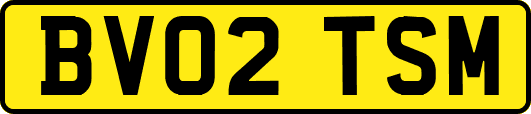 BV02TSM