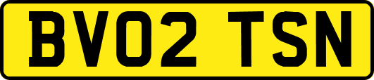 BV02TSN