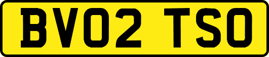 BV02TSO