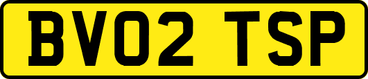 BV02TSP