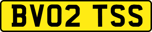 BV02TSS