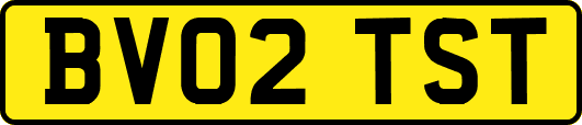 BV02TST