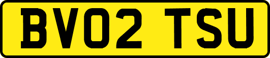 BV02TSU