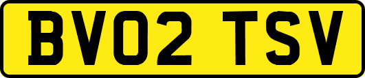BV02TSV
