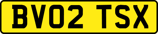 BV02TSX