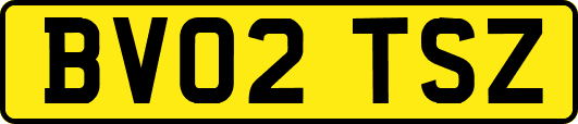 BV02TSZ
