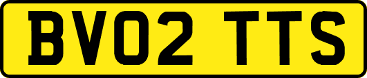 BV02TTS