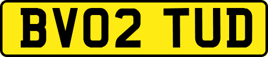 BV02TUD