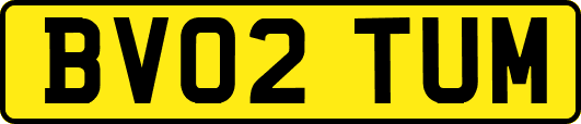 BV02TUM