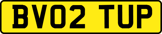 BV02TUP