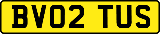 BV02TUS