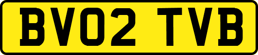 BV02TVB