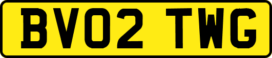 BV02TWG