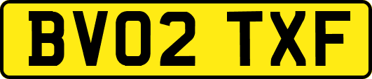 BV02TXF