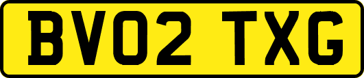 BV02TXG