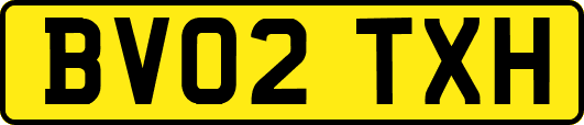 BV02TXH