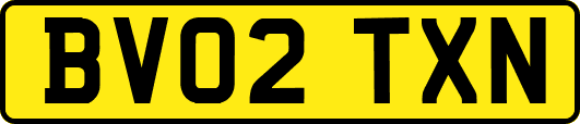 BV02TXN