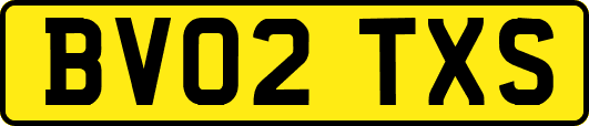 BV02TXS