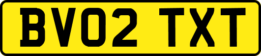 BV02TXT