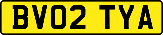 BV02TYA