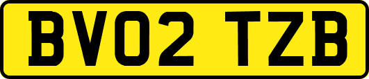 BV02TZB