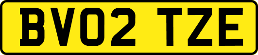 BV02TZE