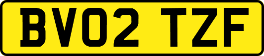 BV02TZF