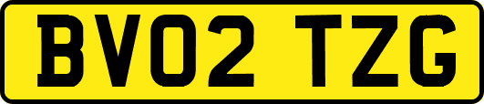 BV02TZG