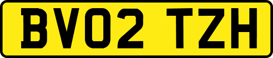 BV02TZH