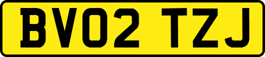 BV02TZJ