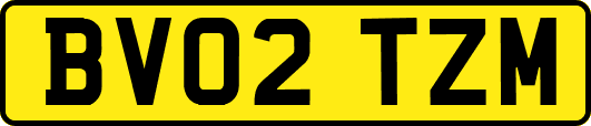 BV02TZM