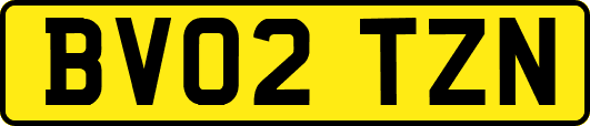 BV02TZN
