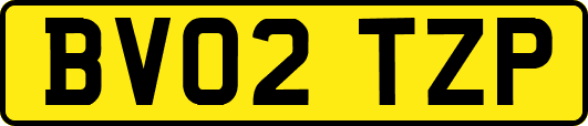 BV02TZP