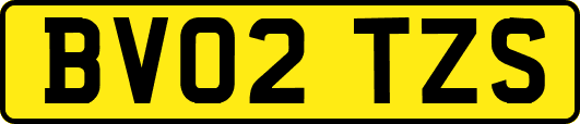 BV02TZS