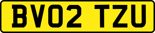 BV02TZU