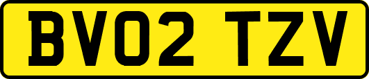 BV02TZV
