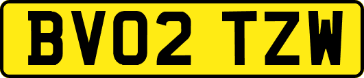 BV02TZW