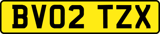 BV02TZX