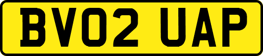 BV02UAP