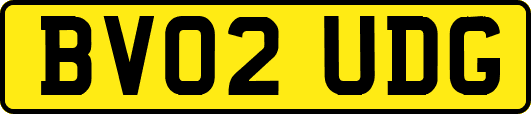 BV02UDG