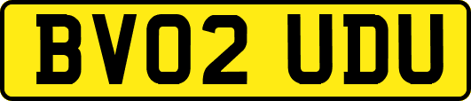BV02UDU